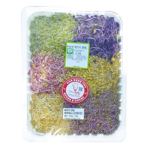 자연미가 새싹채소 500g /SJ 무농약인증 새싹야채. 비빔밥 샐러등 다양한요리에 이용_이미지