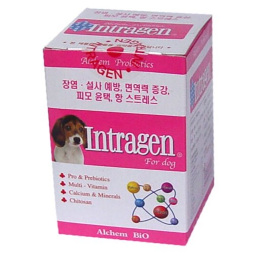 알켐코리아 인트라젠 영양제 타블렛 200p이미지입니다. 누르면 해당 게시물로 새창이동합니다.