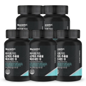 ����Ʈ�� �����䰡�� ����� ���⹰ ������ƾ 60��