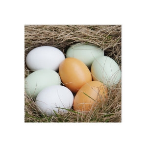 나무 가짜알   부활절달걀 구운계란 맥반석계란 의란