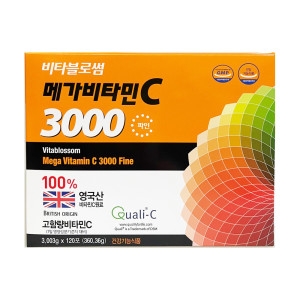 초당약품공업 비타블로썸 메가비타민C 3000 파인 120포 (3개)