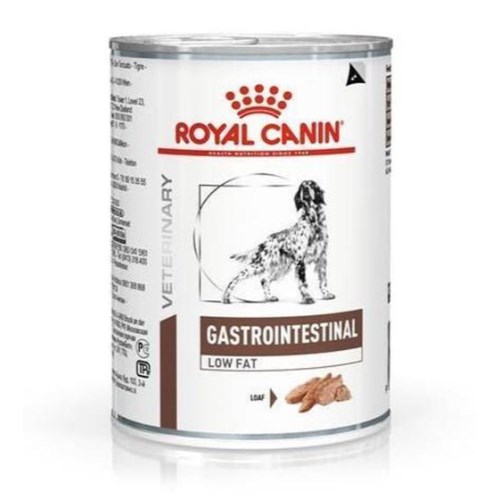 �ѱ����� �ξ�ĳ�� �� ����Ʈ�� ���׽�Ƽ�� �ο��� ĵ 410g