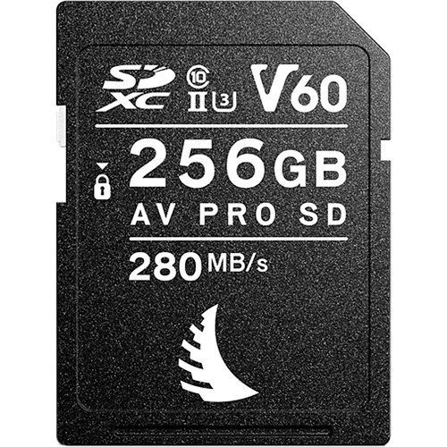 엔젤버드 SD AV PRO MK2 V60 (256GB)