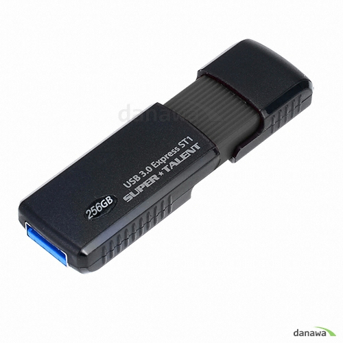 Supertalent Express ST1 (256GB)_이미지