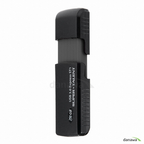 Supertalent Express ST1 (256GB)_이미지