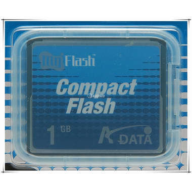 ADATA CF 40X (1GB)_이미지