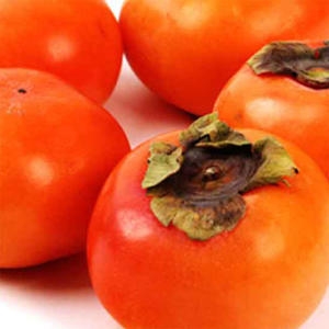 5kg 씨없는감 홍시 산지