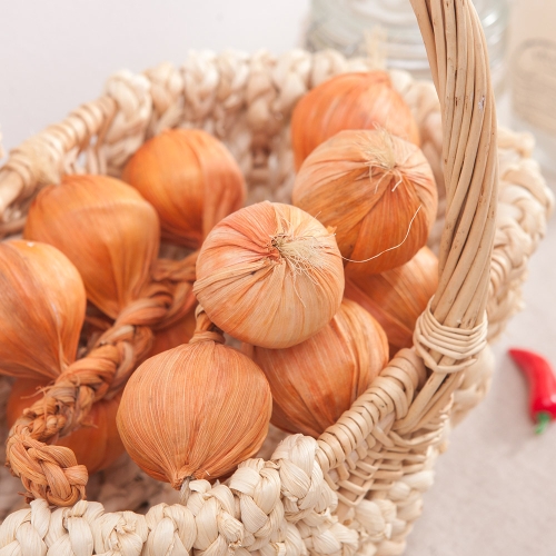 �ö��Ʈ�� ����12���� FOFDFT �������� ���� �� ä��_1333296