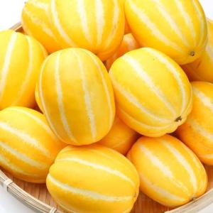친환경팔도 제철과일 성주 참외 6~12과 2kg (1개)_이미지