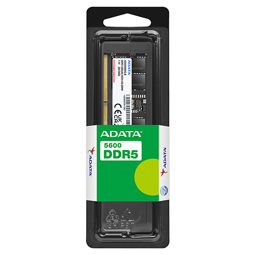 ADATA ��Ʈ�� DDR5-5600 CL46 ����