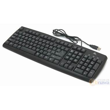AZA KOREA Black Bird 슬림 USB