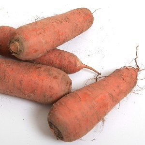 싱싱한 국내산 흙당근 5kg 중