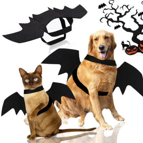 �Թ��� �ҷ��� �ڽ�Ƭ �ؿܱ���