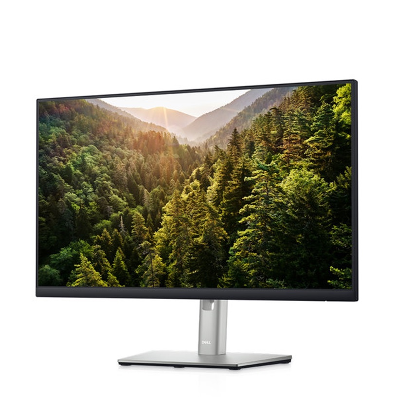 DELL P2422HE_이미지