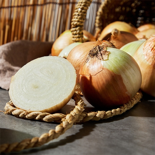 사과랑 자연맛남 맛있는 국내산 양파 10kg 특