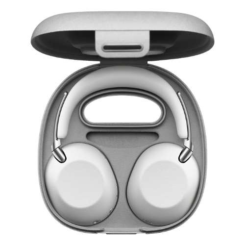 SONY WH-1000X THE COLLEXION (해외구매)_이미지