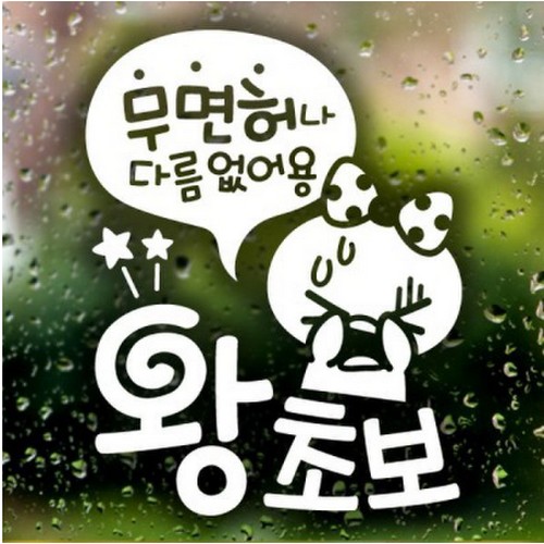 제제데코 자동차스티커 무면허나 다름없어요 왕초보 쁘띠 (반사)_이미지