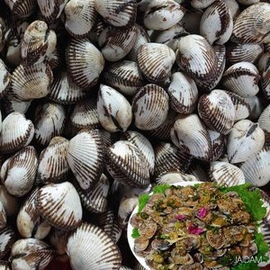 우도수산 산지직송 벌교 새꼬막(특대) 10kg [1개]