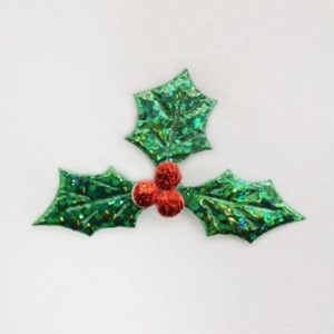 도토리클래스 빨간열매침엽수잎10p_이미지