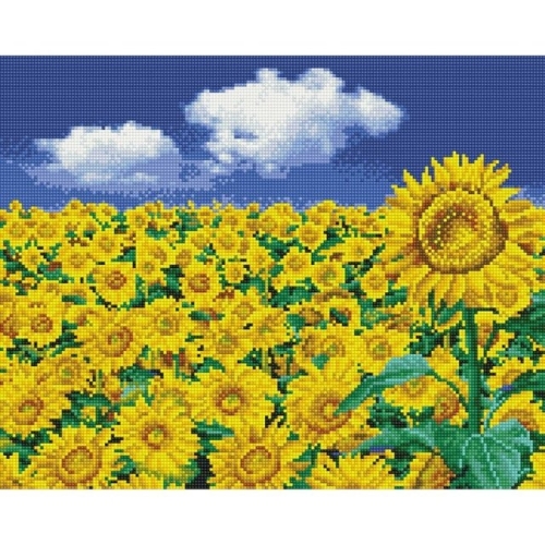 들판 푸른 하늘 캔버스 보석십자수 40x50 WCFF253