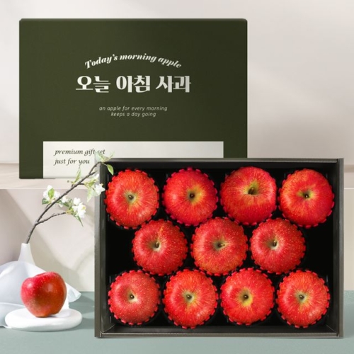 해피사과 오늘아침사과 사과 선물세트 11과 3kg (1개)_이미지