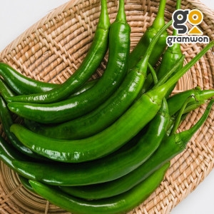 청양고추 특품 1KG 국산 청량고추 매운 땡초 최상급