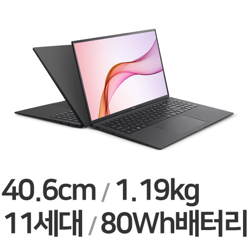 LG전자 2021 그램16 16ZD90P-GX5LK (SSD 256GB)