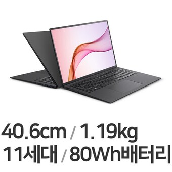 LG전자 <b>2021</b> <b>그램</b>16 16ZD90P-GX5LK