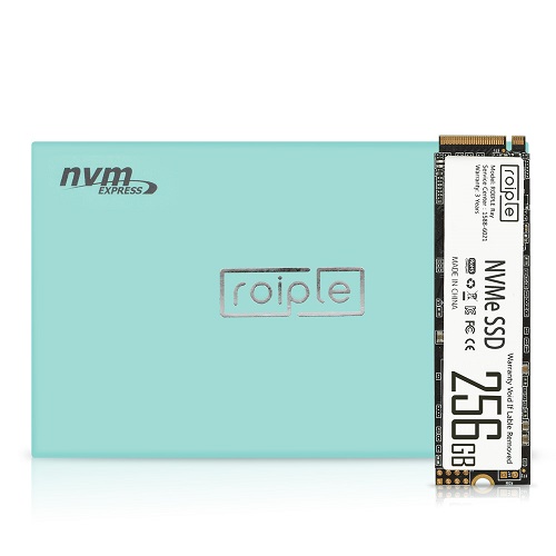 디오테라 ROIPLE Ray M.2 NVMe (256GB)_이미지