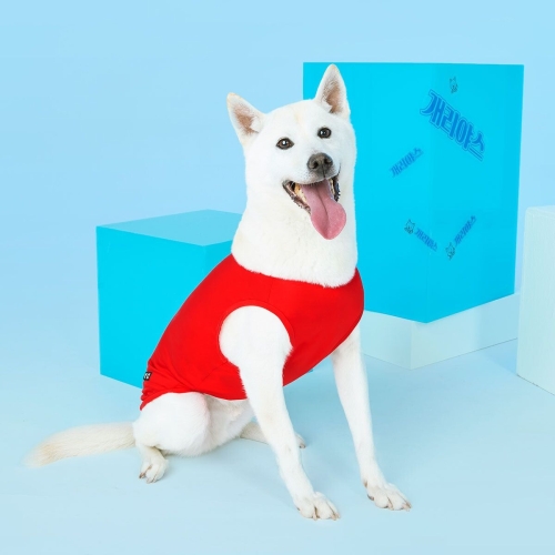 BYC 개리야스 보디드라이 썸머 쿨런닝 S~6XL_이미지