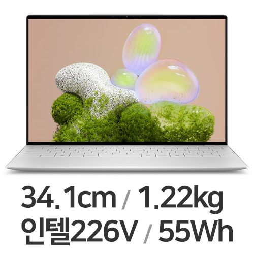 DELL XPS 13 9350 WP01KR (SSD 2TB)