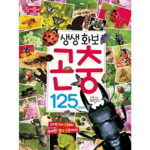 글송이 생생화보 곤충 125가지  신기한 우리 곤충부터 화려한 열대 곤충까지_이미지