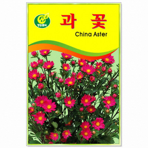 청농 과꽃 씨앗 (100립)_이미지