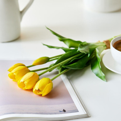 �̷��帮���� ����Ͽ콺 ƫ���ν� x5 ���ο�_AF0221019