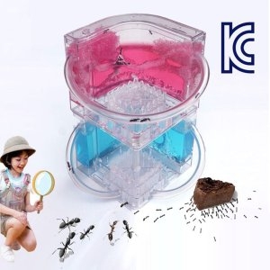 �������� �ų��� ����Ž�� ��Ʈ��