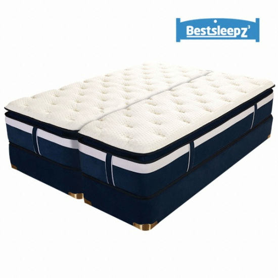 ����Ʈ���� Z6 �ָ��� �и��� �ʷο�ž ��� ��Ʈ���� 2100 LK