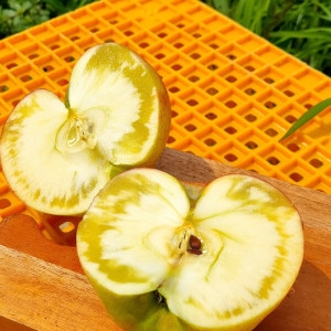 Ȩ���� ���� ������ ��� ȥ�� 10kg