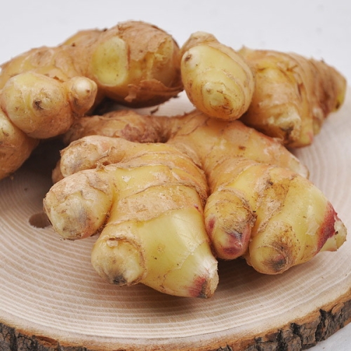 푸르젠 산지직송 충남 서산 전영운님의 흙생강 특품 1kg