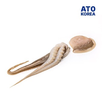 아토코리아 절단<b>쭈꾸미</b> 3kg