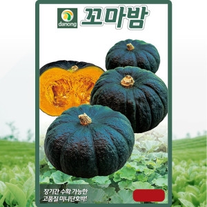다농 꼬마밤 씨앗 단호박 씨 종자 5립