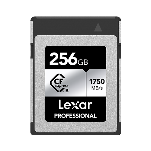 Lexar CFexpress Professional 타입 B 실버시리즈 (256GB)_이미지