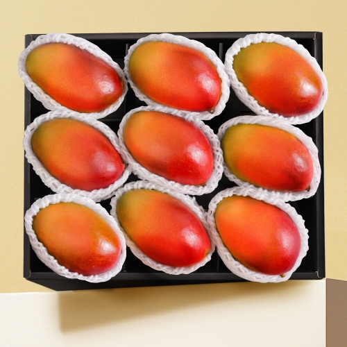 인정식탁 스윗베러 애플망고 9과 세트 3.3kg 내외 (1개)