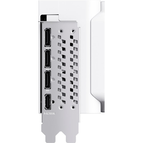 MANLI 지포스 RTX 5080 Polar Fox OC D7 16GB 인텍앤컴퍼니_이미지