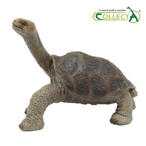 컬렉타 갈라파고스 코끼리 거북 (외로운 조지)
