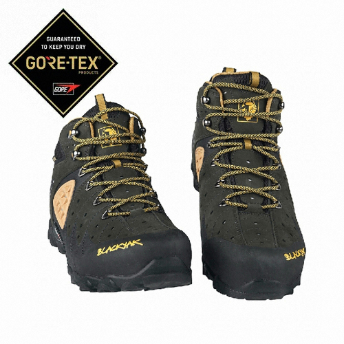 블랙야크 GTX 팔라딘 등산화 (#1, 남성용)_이미지