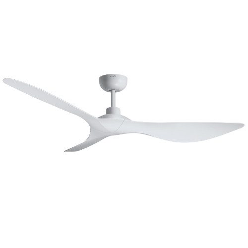 루씨에어  코타라 ROD