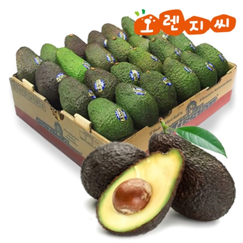 �ƺ�ī�� 24�� ��� 5.5kg 1�ڽ� 220g���� 24��