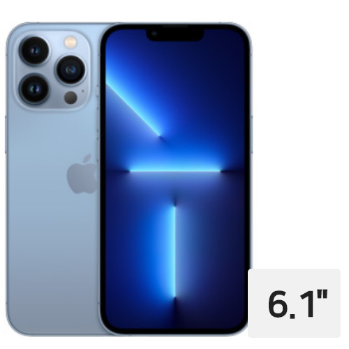 APPLE 아이폰13 프로 128GB, 자급제 (해외구매)