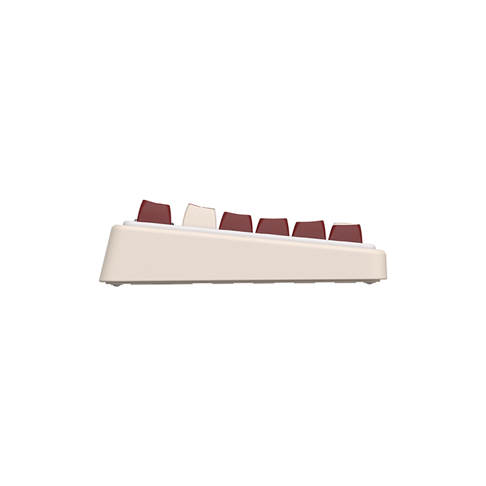 COX CK80 ������ ����