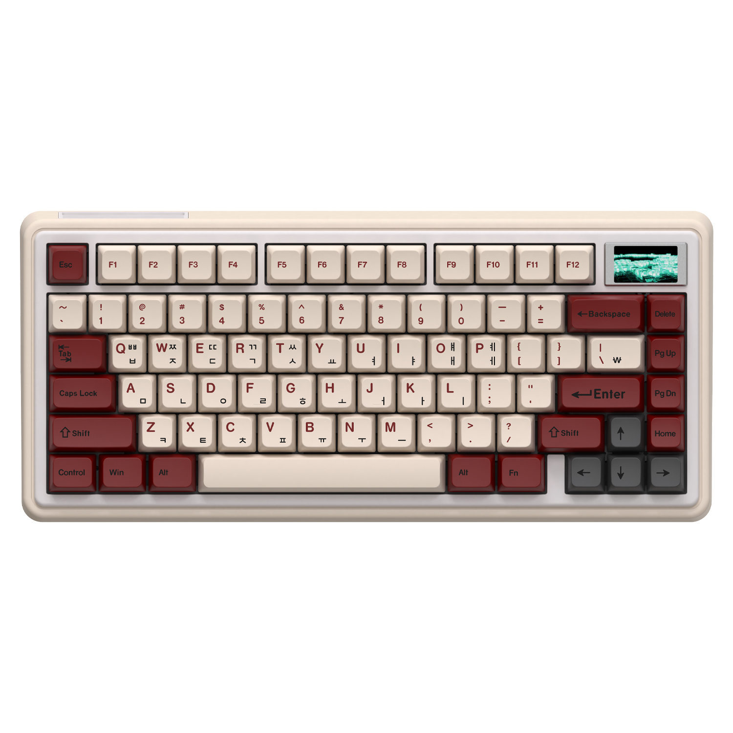 COX CK80 ������ ����